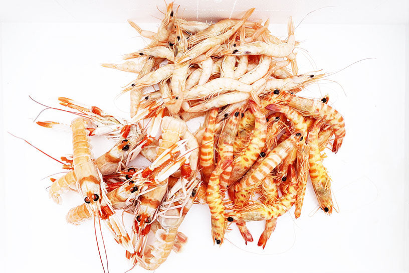 Mariscada Gourmet de 1,2 kg - Todo Cocido, Listo para Disfrutar