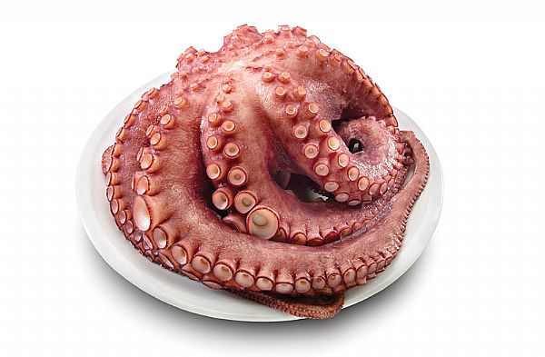 Pulpo Cocido