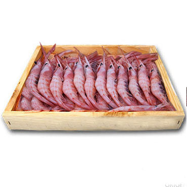 Quisquilla / Camarón Real