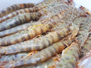 Sanlúcar Prawn