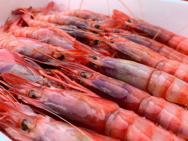 Red Prawn from Huelva